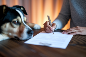 Certificat de Cession Chien : Comment Rédiger et Utiliser ce Document entre Particuliers